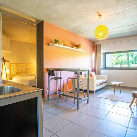 Apartment Le Saint Roch 1 - Ac Clim - Wifi - 50m Centre