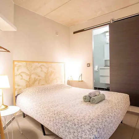Apartment Le Saint Roch 1 - Ac Clim - Wifi - 50m Centre