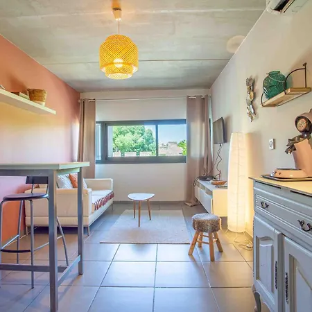 Apartment Le Saint Roch 1 - Ac Clim - Wifi - 50m Centre *